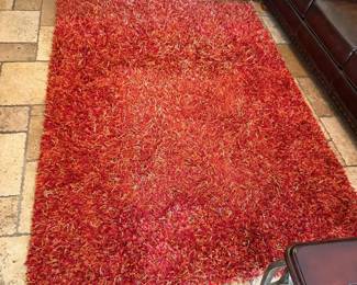 Shaggy 5x7 Area Rug Linie Designs