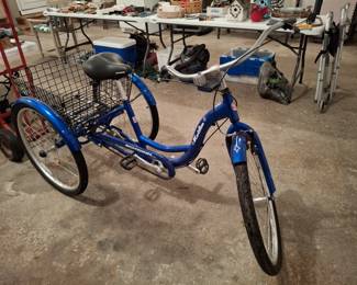 Schwinn 3 Wheeled Bicycle!