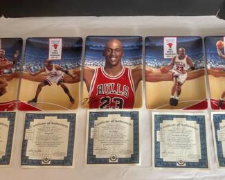 Michael Jordan Upper Deck In Flight Collector Plate Series