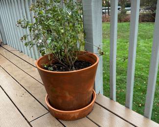 THERE ARE SMALLS AND DECORATIVE ITEMS THAT ARE AVAILABLE! COME TO SHOP THESE ITEMS!