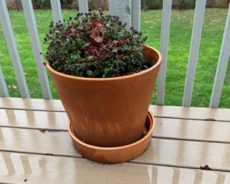 THERE ARE SMALLS AND DECORATIVE ITEMS THAT ARE AVAILABLE! COME TO SHOP THESE ITEMS!