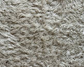 R41 - $75. 6' x 9' area rug. Very good condition.