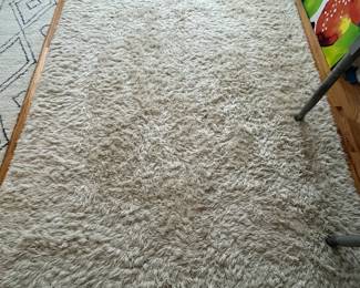 R41 - $75. 6' x 9' area rug. Very good condition.