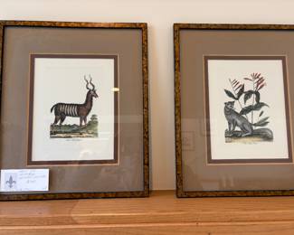 $140 pair of vintage animal framed prints. 14.5”w x 16.75”h. Available for online and in person purchase 