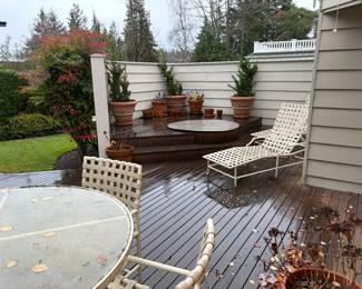 Pots and plants along with garden furniture for sale during in-person shopping