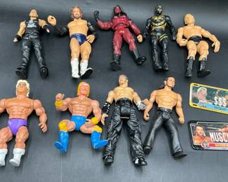 Wrestling Action Figures