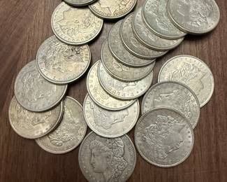 Morgan Coins