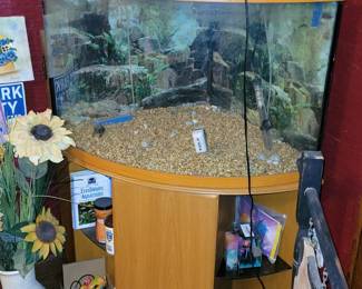Corner aquarium