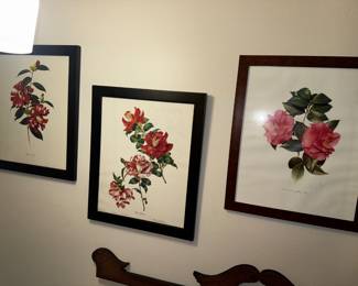 Camellia prints