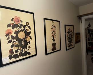 Camellia prints