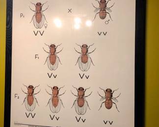 Vintage framed poster $180