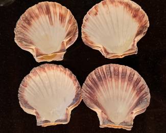 Set of 8 Scallop Shell Appetizer Serving Plates. 