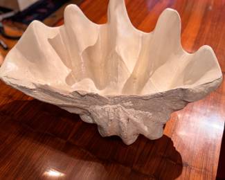 Giant Clam Shell. Measures 28" W x 18" D x 16" H. Photo 3 of 3. 