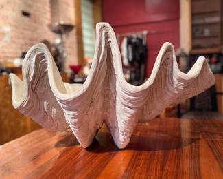 Giant Clam Shell. Measures 28" W x 18" D x 16" H. Photo 1 of 3. 