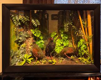 Quail Taxidermy Diorama. Measures 34" W x 12" D x 24" H. Photo 1 of 3. 