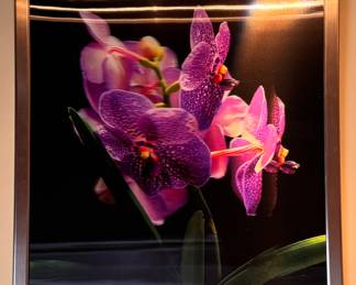 Orchid Hologram Artwork. Measures 56" H x 46" W. Photo 1 of 2.