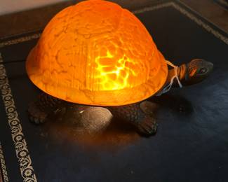turtle night light