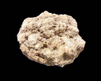 Large Uncut Geode 7.5 x 7