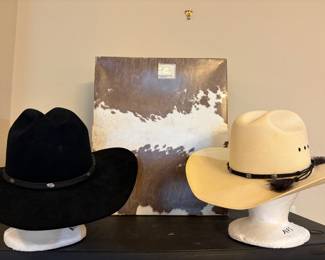 Resistol Cowboy hats 5x beaver & Straw