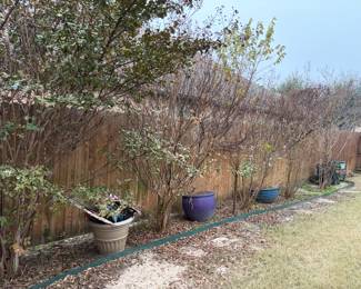 Several pots for planting