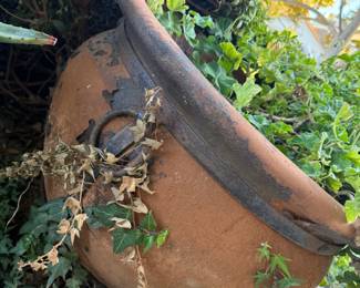 HUGE TERRACOTTA POT / IVY PLANT WITH HANDLES