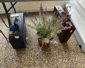 Miscellaneous briefcases with plant 