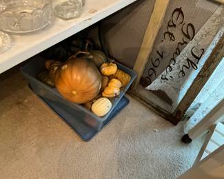 Various sizes of pumpkins