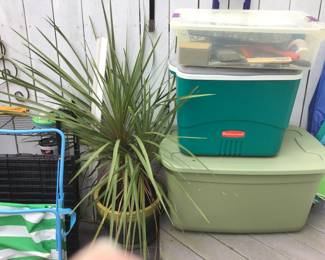 patio and entertaining items