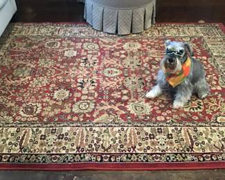 Bentley is waiting on this lovely rug for you to come see him!