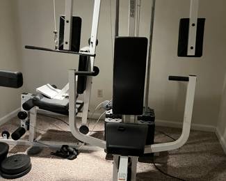 Weider Pro 9925 Home Gym w/Weights,