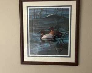 David Maass Ducks Unlimited 1983 Canvasback Print – Signed & Numbered DU 1724/21000 (Framed)