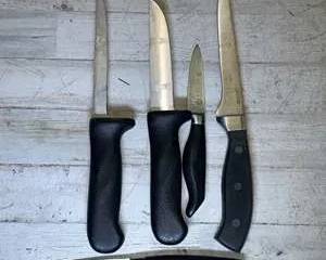 Mixed Kitchen Knife Lot – Oneida Knife + Assorted Stainless Utility & Boning Knives – 5pc Culinary Set