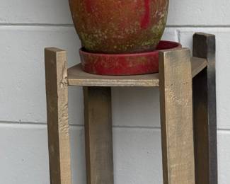 Mother in law tongue or snake plant and Christmas cactus