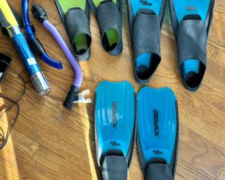 Scuba/snorkeling gear