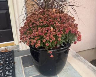 Large Planter
