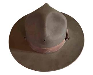 US military campaign hat. 20th century.