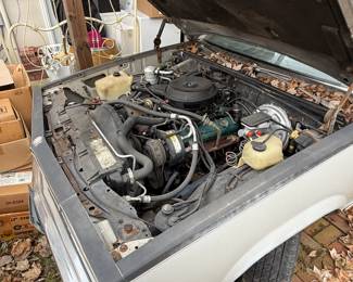 1980 Chevy Malibu (Project Car)