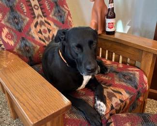 Come Chill with Pepper