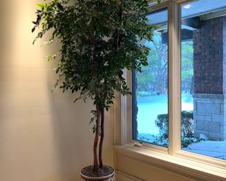 Faux Ficus tree in ceramic pot on stand - 10+ ft tall