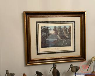 Framed Audubon Print