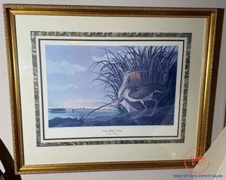 Audubon Framed Print
