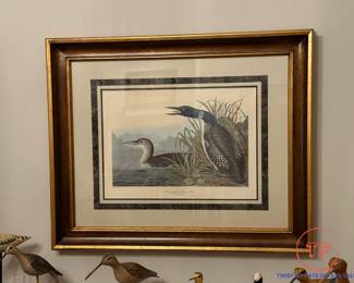 Framed Audubon Print