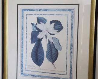 Magnolia Flower Art 
