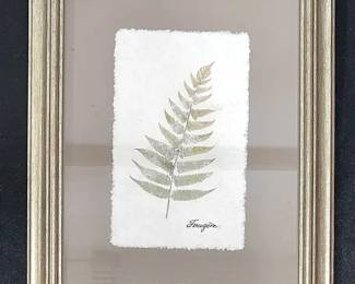 Framed Fern Art by Kohls