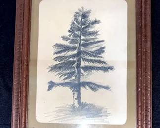 Framed Pine Tree Drawing Unsigned