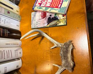 6 point set of antlers