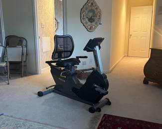Lifecore exercise bike