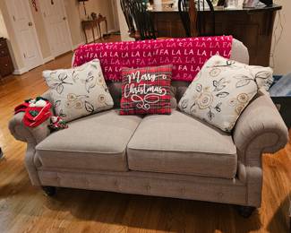 sofa and 2 pillows (not the Christmas pillows)