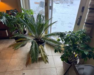 back room beyond kitchen