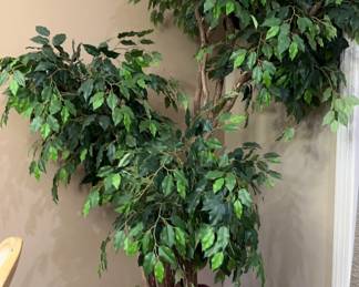 Large Artificial Ficus Benjamina (weeping fig) Tree In Decorative Pot